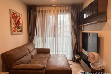 1 Bedroom Condo for rent in Taka Haus Ekamai 12, Khlong Tan Nuea, Bangkok near BTS Ekkamai