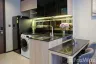 1 Bedroom Condo for rent in The Line Asoke - Ratchada, Din Daeng, Bangkok near MRT Phra Ram 9