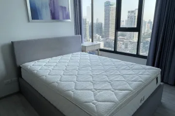 1 Bedroom Condo for rent in XT Ekkamai, Khlong Tan Nuea, Bangkok