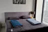 1 Bedroom Condo for rent in XT Ekkamai, Khlong Tan Nuea, Bangkok