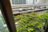 1 Bedroom Condo for rent in Ideo Sathorn-Taksin, Bang Lamphu Lang, Bangkok near BTS Krung Thon Buri