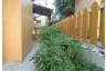 5 Bedroom House for Sale or Rent in K.C. Parkville, Phraek Sa Mai, Samut Prakan
