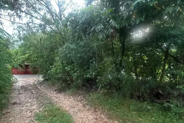 Land for sale in Bo Phut, Surat Thani