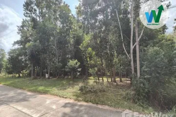 Land for sale in Chamuang, Phatthalung