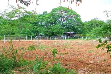 Land for sale in Muak Lek, Saraburi