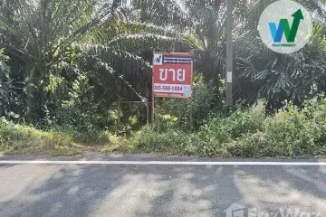 Land for sale in Khuan Khanun, Phatthalung