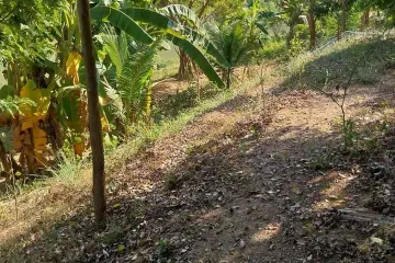 Land for sale in Thung Fai, Lampang