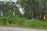 Land for sale in Pa Khlok, Phuket