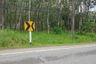 Land for sale in Pa Khlok, Phuket