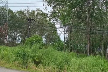 Land for sale in Pa Khlok, Phuket