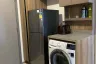 1 Bedroom Condo for Sale or Rent in Taka Haus Ekamai 12, Khlong Tan Nuea, Bangkok near BTS Ekkamai