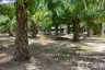 Land for sale in Thep Krasatti, Phuket