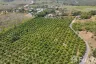 Land for sale in Thep Krasatti, Phuket