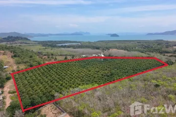 Land for sale in Thep Krasatti, Phuket