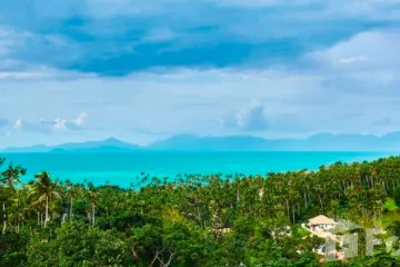 Land for sale in Mae Nam, Surat Thani