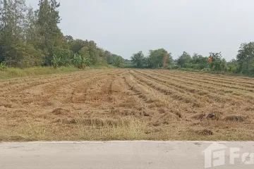 Land for sale in Na Phrathat, Chonburi