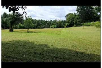 Land for sale in Khok Kloi, Phang Nga