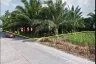 Land for sale in Na Toei, Phang Nga