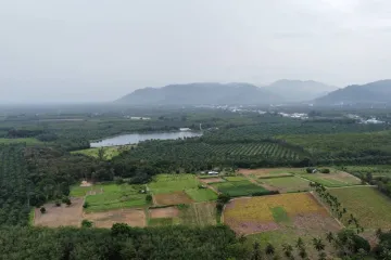 Land for sale in Khok Kloi, Phang Nga