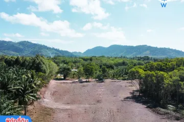 Land for sale in Khok Kloi, Phang Nga