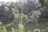Land for sale in Ko Kho Khao, Phang Nga