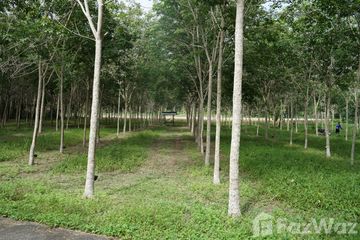 Land for sale in Khok Kloi, Phang Nga