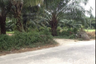 Land for sale in Khok Kloi, Phang Nga
