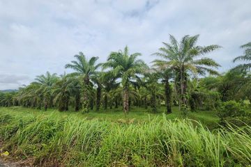 Land for sale in Khok Kloi, Phang Nga