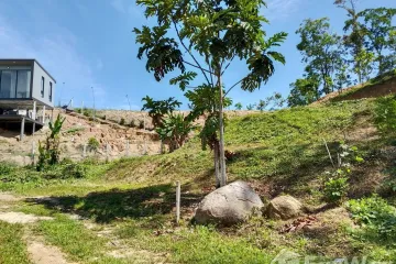 Land for sale in Na Toei, Phang Nga