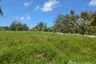 Land for sale in Bang Sai, Phang Nga