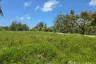 Land for sale in Bang Sai, Phang Nga