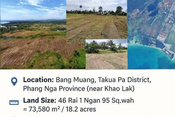 Land for sale in Bang Muang, Phang Nga