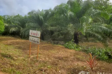 Land for sale in Bang Muang, Phang Nga