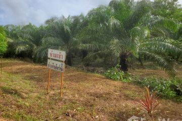 Land for sale in Bang Muang, Phang Nga