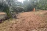 Land for sale in Bang Muang, Phang Nga