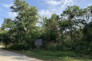 Land for sale in Bang Sai, Phang Nga