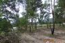 Land for sale in Khok Kloi, Phang Nga