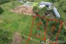Land for sale in Thung Maphrao, Phang Nga