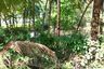 Land for sale in Khok Kloi, Phang Nga
