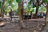 Land for sale in Khok Kloi, Phang Nga