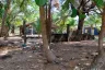 Land for sale in Khok Kloi, Phang Nga