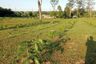 Land for sale in Thai Mueang, Phang Nga