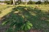 Land for sale in Thai Mueang, Phang Nga