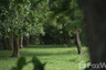 Land for sale in Thai Mueang, Phang Nga