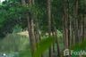 Land for sale in Thai Mueang, Phang Nga