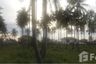 Land for sale in Khok Kloi, Phang Nga