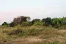 Land for sale in Hin Lek Fai, Prachuap Khiri Khan