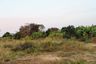 Land for sale in Hin Lek Fai, Prachuap Khiri Khan