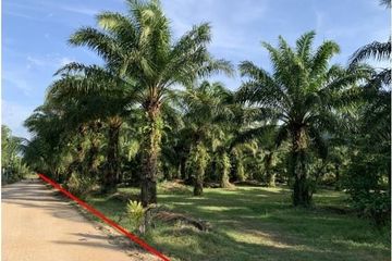Land for sale in Bang Sai, Phang Nga