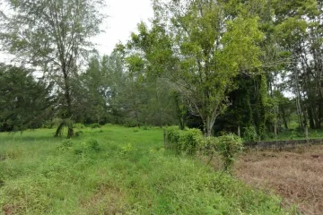 Land for sale in Bang Muang, Phang Nga